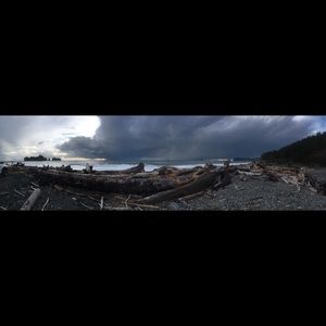 Meet your Posher, Maya